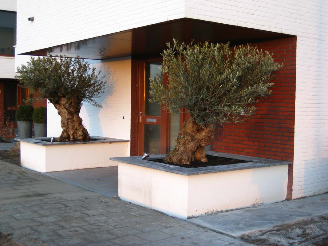 Hovenier Odon Hogendoorn Zevenhuizen   10