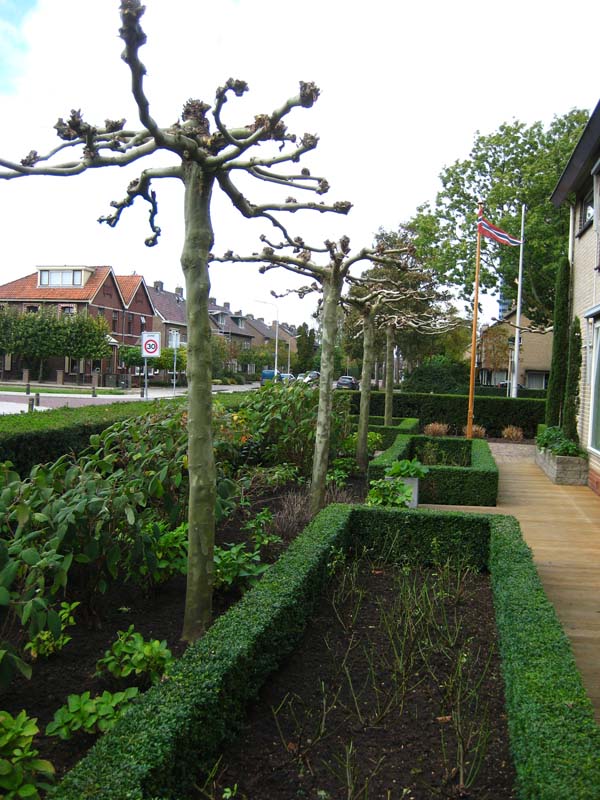 Hovenier Odon Hogendoorn Zevenhuizen   12