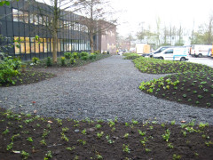 Hovenier Odon Hogendoorn Zevenhuizen   14