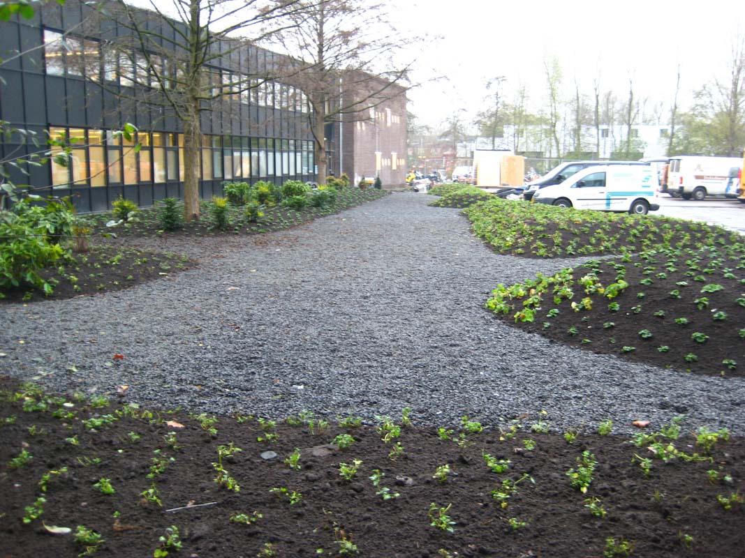 Hovenier Odon Hogendoorn Zevenhuizen   14