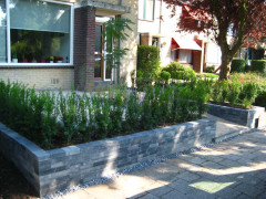 Hovenier Odon Hogendoorn Zevenhuizen   18