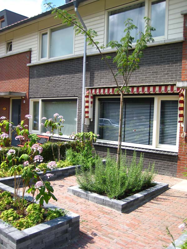 Hovenier Odon Hogendoorn Zevenhuizen   2