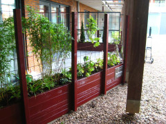 Hovenier Odon Hogendoorn Zevenhuizen   27