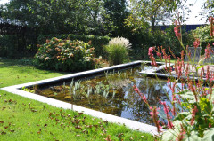 Hovenier Odon Hogendoorn Zevenhuizen   4